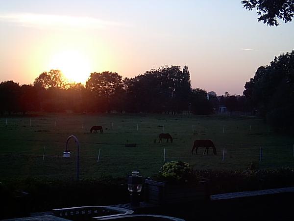  Bildname: IM000915.JPG 
 Breite: 640 Pixel 
 H�he: 480 Pixel 
 Gr�sse: 56 kB 