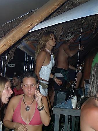  Bildname: IM001521.JPG 
 Breite: 480 Pixel 
 H�he: 640 Pixel 
 Gr�sse: 117 kB 