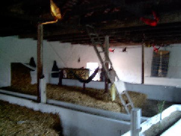  Bildname: 160.jpg 
 Breite: 240 Pixel 
 H�he: 180 Pixel 
 Gr�sse: 19 kB 