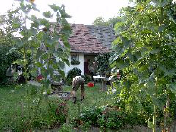  Bildname: 178.jpg 
 Breite: 240 Pixel 
 H�he: 180 Pixel 
 Gr�sse: 19 kB 