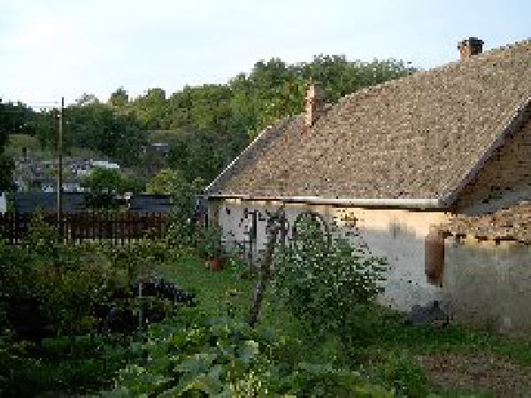  Bildname: 180.jpg 
 Breite: 240 Pixel 
 H�he: 180 Pixel 
 Gr�sse: 19 kB 