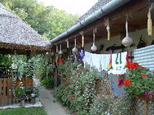  Bildname: 184.jpg 
 Breite: 240 Pixel 
 H�he: 180 Pixel 
 Gr�sse: 19 kB 