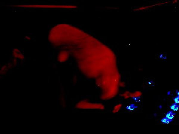  Bildname: 211.jpg 
 Breite: 240 Pixel 
 H�he: 180 Pixel 
 Gr�sse: 8 kB 