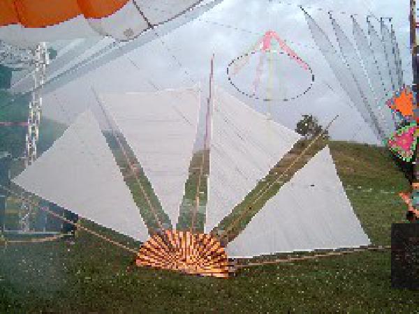  Bildname: 245.jpg 
 Breite: 240 Pixel 
 H�he: 180 Pixel 
 Gr�sse: 19 kB 