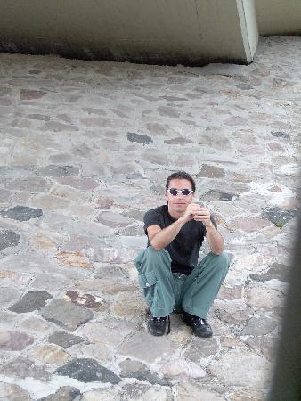  Bildname: IM000237.jpg 
 Breite: 1536 Pixel 
 H�he: 2048 Pixel 
 Gr�sse: 1.058 kB 