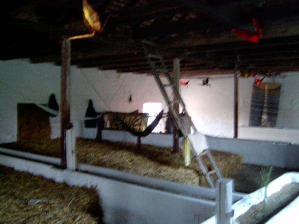  Bildname: IM000246.JPG 
 Breite: 2048 Pixel 
 H�he: 1536 Pixel 
 Gr�sse: 722 kB 