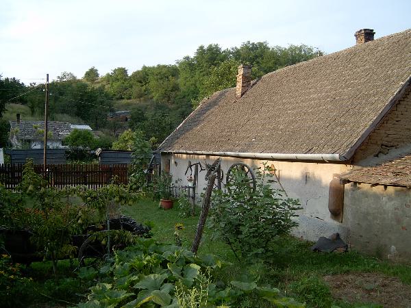  Bildname: IM000266.jpg 
 Breite: 2048 Pixel 
 H�he: 1536 Pixel 
 Gr�sse: 788 kB 