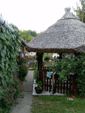  Bildname: IM000269.jpg 
 Breite: 1536 Pixel 
 H�he: 2048 Pixel 
 Gr�sse: 1.224 kB 