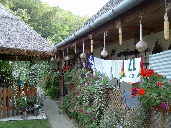  Bildname: IM000270.jpg 
 Breite: 2048 Pixel 
 H�he: 1536 Pixel 
 Gr�sse: 773 kB 