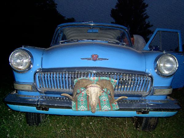  Bildname: IM000272.jpg 
 Breite: 2048 Pixel 
 H�he: 1536 Pixel 
 Gr�sse: 784 kB 