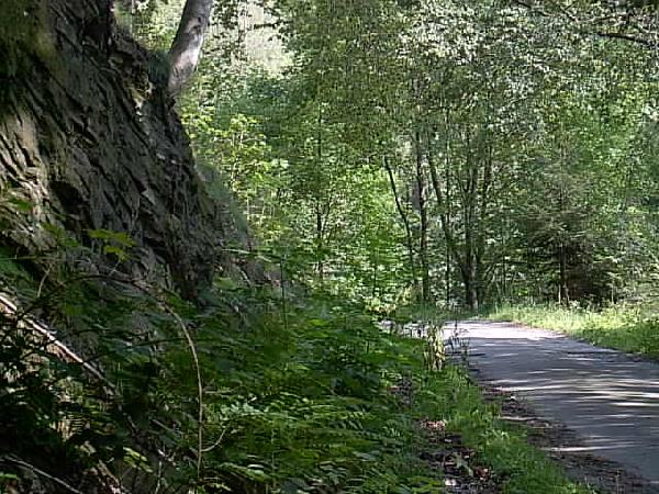  Bildname: IM000449.JPG 
 Breite: 640 Pixel 
 H�he: 480 Pixel 
 Gr�sse: 69 kB 