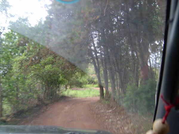  Bildname: IM001090.jpg 
 Breite: 600 Pixel 
 H�he: 450 Pixel 
 Gr�sse: 57 kB 