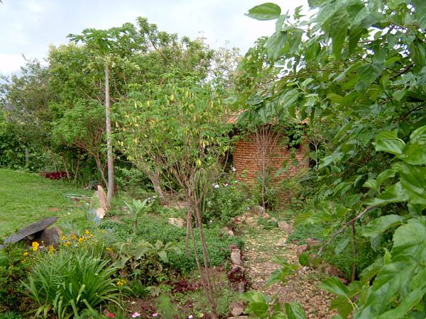  Bildname: IM001095.jpg 
 Breite: 600 Pixel 
 H�he: 450 Pixel 
 Gr�sse: 104 kB 