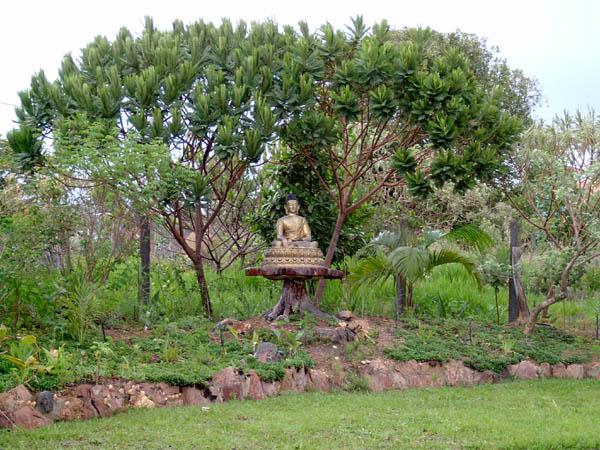  Bildname: IM001096.jpg 
 Breite: 600 Pixel 
 H�he: 450 Pixel 
 Gr�sse: 100 kB 