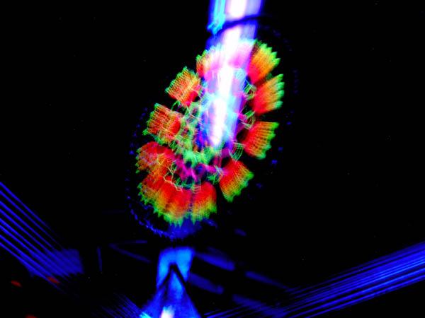  Bildname: IM001124.jpg 
 Breite: 600 Pixel 
 H�he: 450 Pixel 
 Gr�sse: 49 kB 