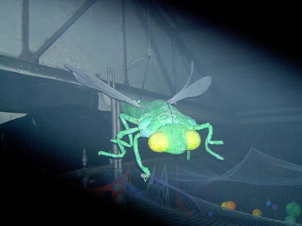  Bildname: IM001965.jpg 
 Breite: 600 Pixel 
 H�he: 450 Pixel 
 Gr�sse: 31 kB 