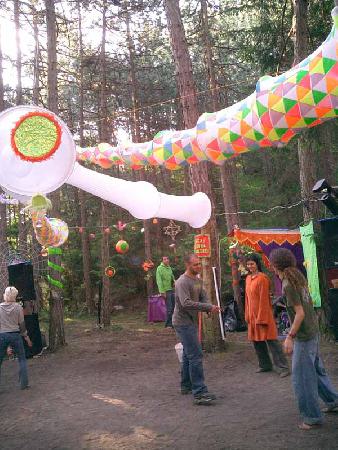  Bildname: CIMG3077.jpg 
 Breite: 600 Pixel 
 H�he: 800 Pixel 
 Gr�sse: 88 kB 