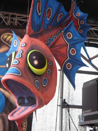  Bildname: DSC00156.jpg 
 Breite: 600 Pixel 
 H�he: 800 Pixel 
 Gr�sse: 98 kB 