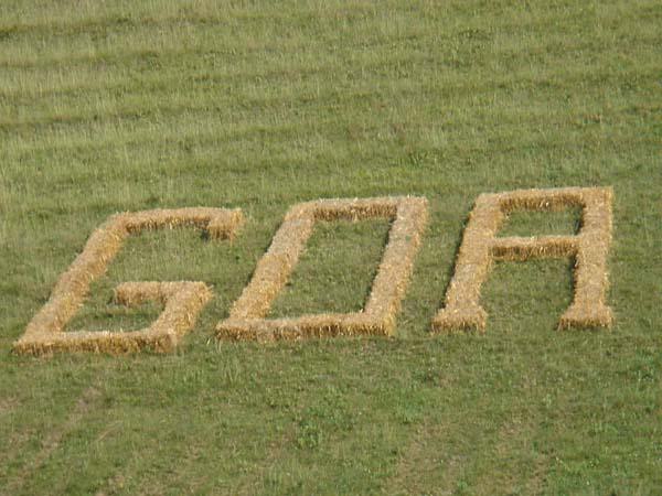  Bildname: DSC00387.jpg 
 Breite: 600 Pixel 
 H�he: 450 Pixel 
 Gr�sse: 67 kB 