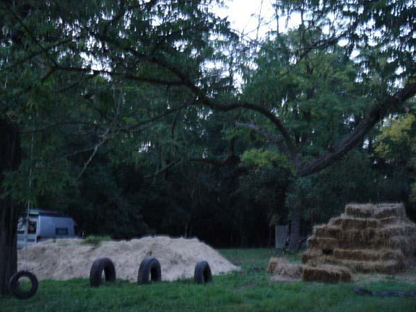  Bildname: DSC00424.jpg 
 Breite: 600 Pixel 
 H�he: 450 Pixel 
 Gr�sse: 66 kB 