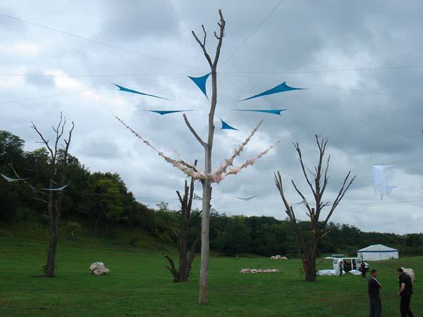  Bildname: DSC00458.jpg 
 Breite: 600 Pixel 
 H�he: 450 Pixel 
 Gr�sse: 47 kB 