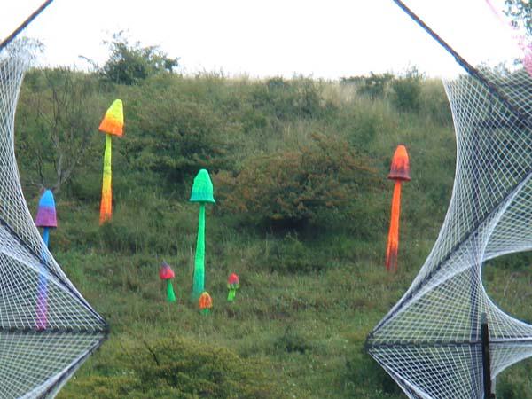  Bildname: DSC00465.jpg 
 Breite: 600 Pixel 
 H�he: 450 Pixel 
 Gr�sse: 72 kB 