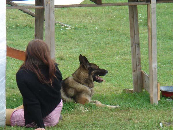  Bildname: DSC00471.jpg 
 Breite: 600 Pixel 
 H�he: 450 Pixel 
 Gr�sse: 68 kB 