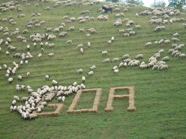  Bildname: DSC00472.jpg 
 Breite: 600 Pixel 
 H�he: 450 Pixel 
 Gr�sse: 82 kB 