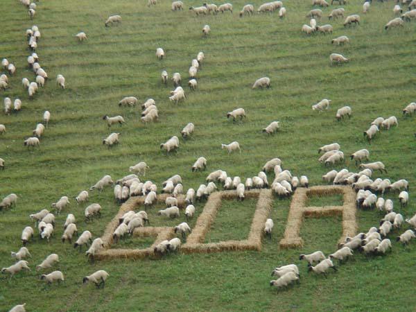  Bildname: DSC00474.jpg 
 Breite: 600 Pixel 
 H�he: 450 Pixel 
 Gr�sse: 73 kB 