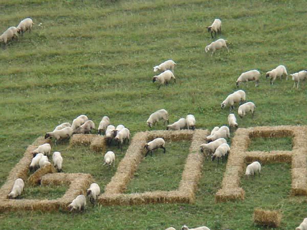  Bildname: DSC00475.jpg 
 Breite: 600 Pixel 
 H�he: 450 Pixel 
 Gr�sse: 74 kB 