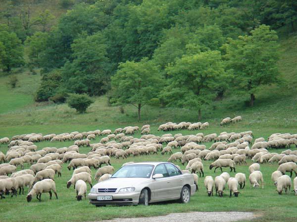  Bildname: DSC00477.jpg 
 Breite: 600 Pixel 
 H�he: 450 Pixel 
 Gr�sse: 78 kB 