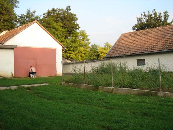  Bildname: DSC00607.jpg 
 Breite: 600 Pixel 
 H�he: 450 Pixel 
 Gr�sse: 68 kB 