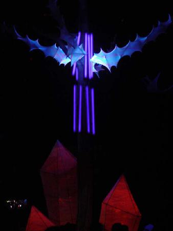  Bildname: DSC00648.jpg 
 Breite: 600 Pixel 
 H�he: 800 Pixel 
 Gr�sse: 30 kB 