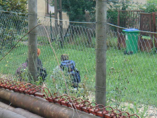  Bildname: DSC00918.jpg 
 Breite: 600 Pixel 
 H�he: 450 Pixel 
 Gr�sse: 84 kB 