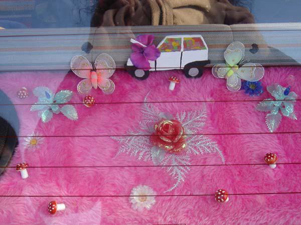  Bildname: DSC00975.jpg 
 Breite: 600 Pixel 
 H�he: 450 Pixel 
 Gr�sse: 65 kB 