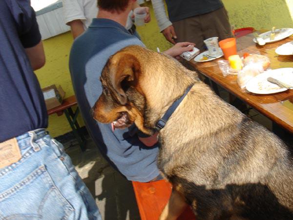  Bildname: DSC01289.jpg 
 Breite: 600 Pixel 
 H�he: 450 Pixel 
 Gr�sse: 76 kB 