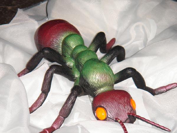  Bildname: DSC01423.jpg 
 Breite: 600 Pixel 
 H�he: 450 Pixel 
 Gr�sse: 64 kB 