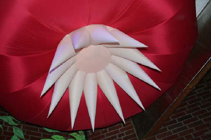  Bildname: AMAZONE_0064.jpg 
 Breite: 600 Pixel 
 H�he: 400 Pixel 
 Gr�sse: 44 kB 