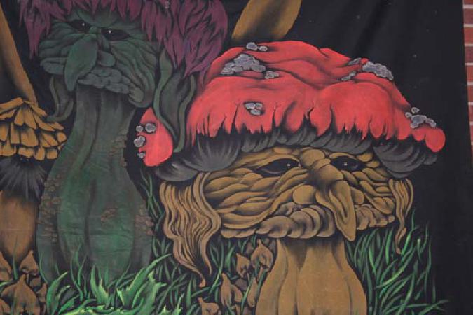  Bildname: AMAZONE_0066.jpg 
 Breite: 600 Pixel 
 H�he: 400 Pixel 
 Gr�sse: 56 kB 