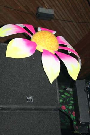  Bildname: AMAZONE_0076.jpg 
 Breite: 267 Pixel 
 H�he: 400 Pixel 
 Gr�sse: 35 kB 