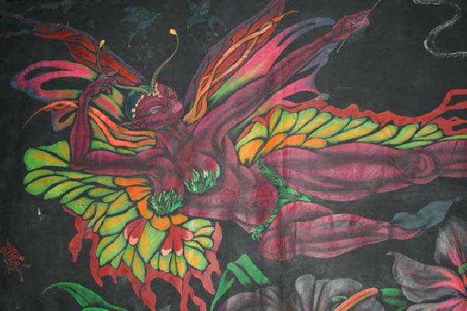  Bildname: AMAZONE_0082.jpg 
 Breite: 600 Pixel 
 H�he: 400 Pixel 
 Gr�sse: 62 kB 