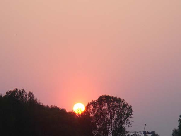  Bildname: DSC03099.jpg 
 Breite: 600 Pixel 
 H�he: 450 Pixel 
 Gr�sse: 24 kB 