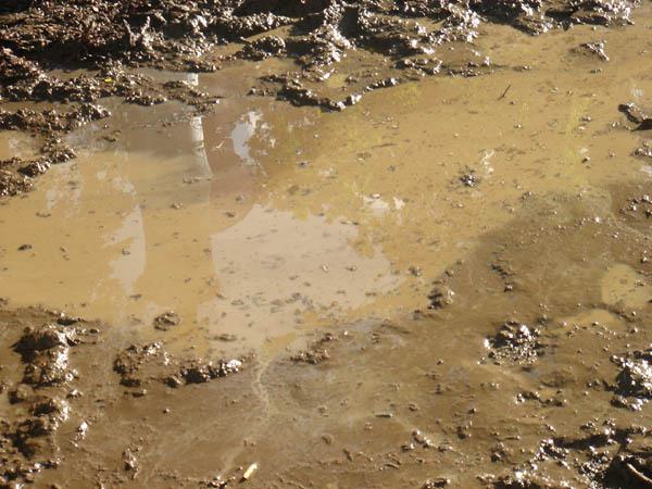  Bildname: DSC03386.jpg 
 Breite: 600 Pixel 
 H�he: 450 Pixel 
 Gr�sse: 86 kB 