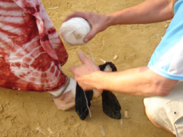  Bildname: DSC03614.jpg 
 Breite: 600 Pixel 
 H�he: 450 Pixel 
 Gr�sse: 106 kB 