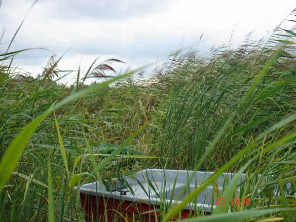  Bildname: 4003.jpg 
 Breite: 600 Pixel 
 H�he: 450 Pixel 
 Gr�sse: 60 kB 