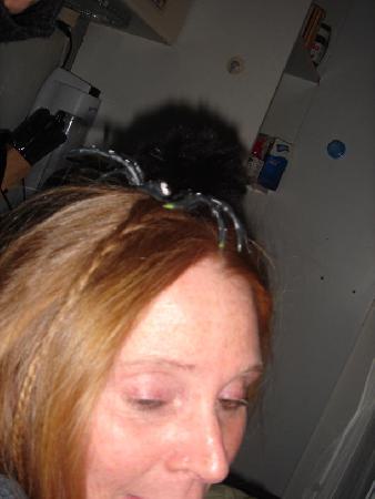  Bildname: DSC04423.jpg 
 Breite: 610 Pixel 
 H�he: 813 Pixel 
 Gr�sse: 53 kB 