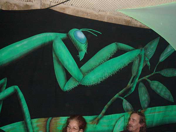  Bildname: jalanda21.jpg 
 Breite: 600 Pixel 
 H�he: 450 Pixel 
 Gr�sse: 47 kB 