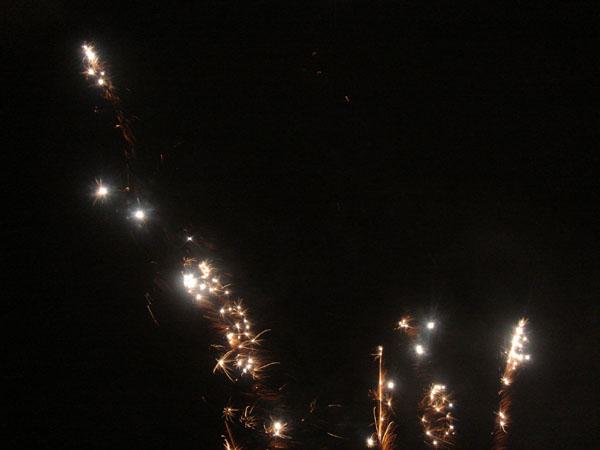  Bildname: DSC04669.jpg 
 Breite: 600 Pixel 
 H�he: 450 Pixel 
 Gr�sse: 40 kB 