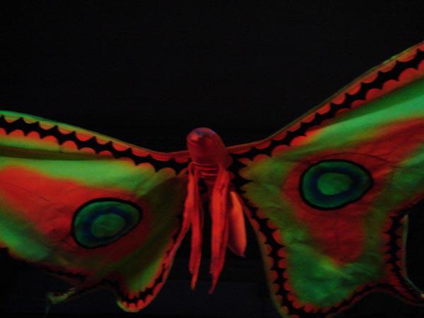  Bildname: DSC04817.jpg 
 Breite: 600 Pixel 
 H�he: 450 Pixel 
 Gr�sse: 41 kB 