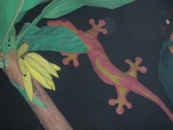  Bildname: DSC04838.jpg 
 Breite: 600 Pixel 
 H�he: 450 Pixel 
 Gr�sse: 48 kB 